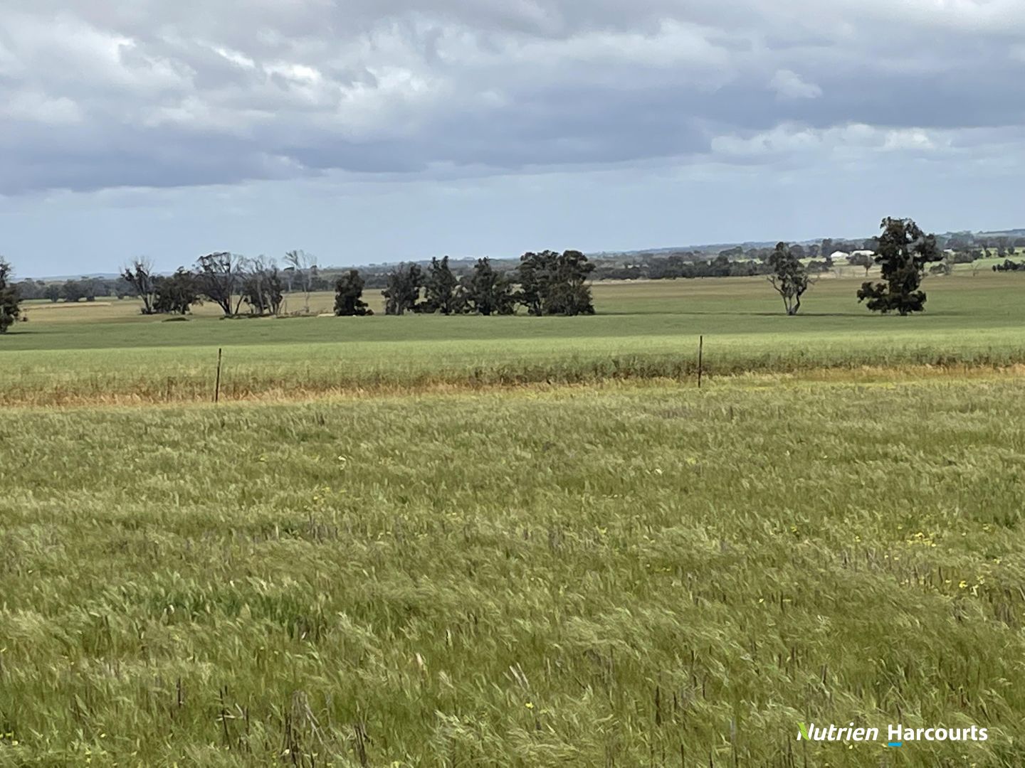 223 Lock Road, Narrogin WA 6312 Specialist Farm for Sale 6,200,000