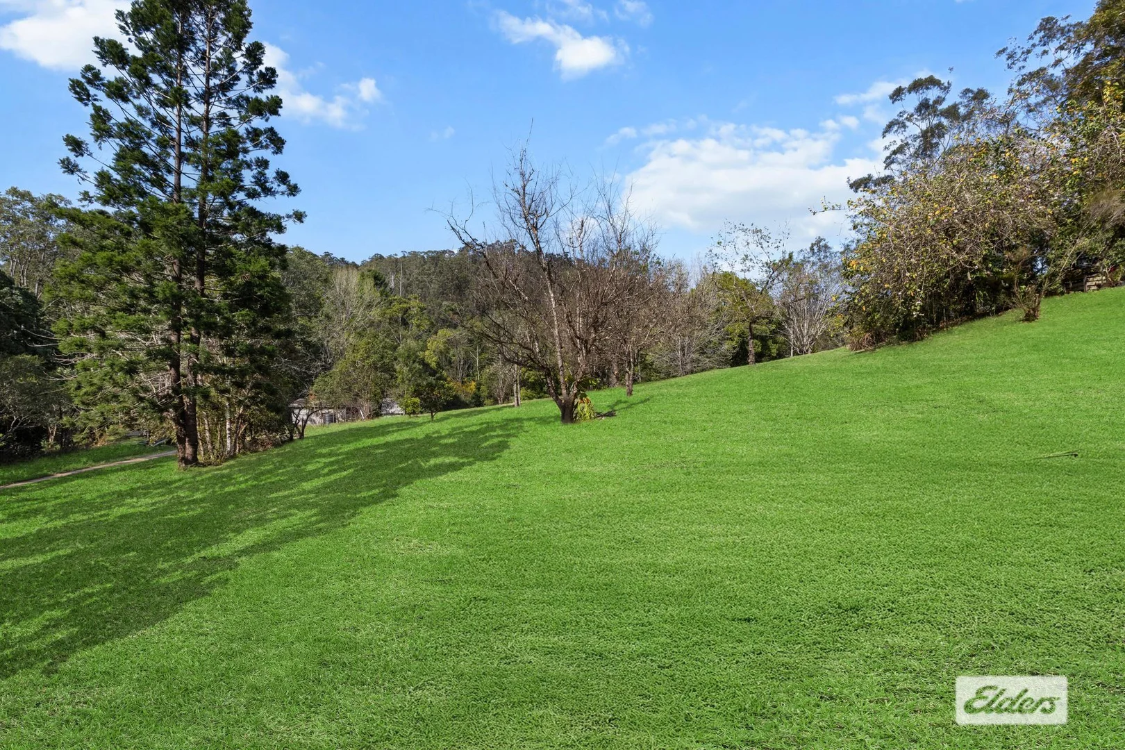 Image 15