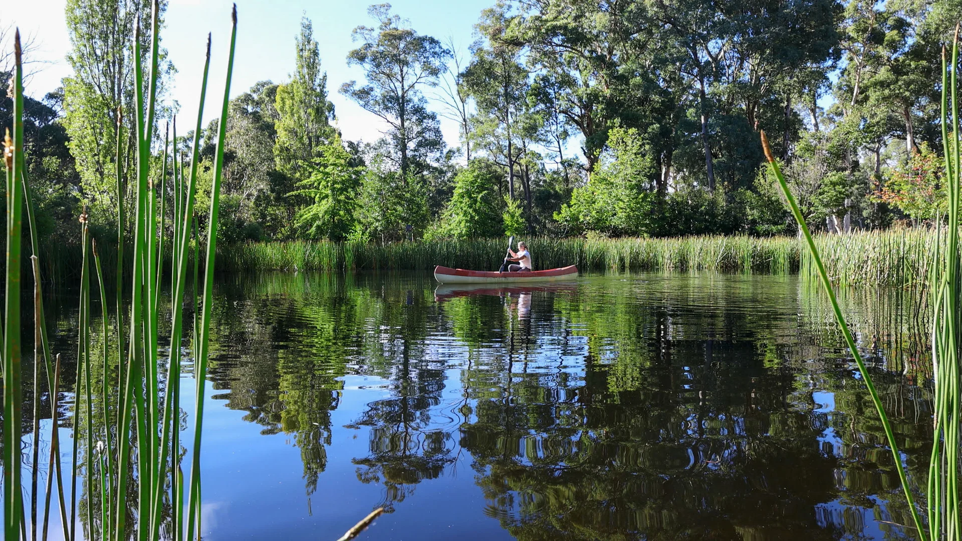 Additional image 7 of 791 Kennedys Road, Yaouk NSW 2629