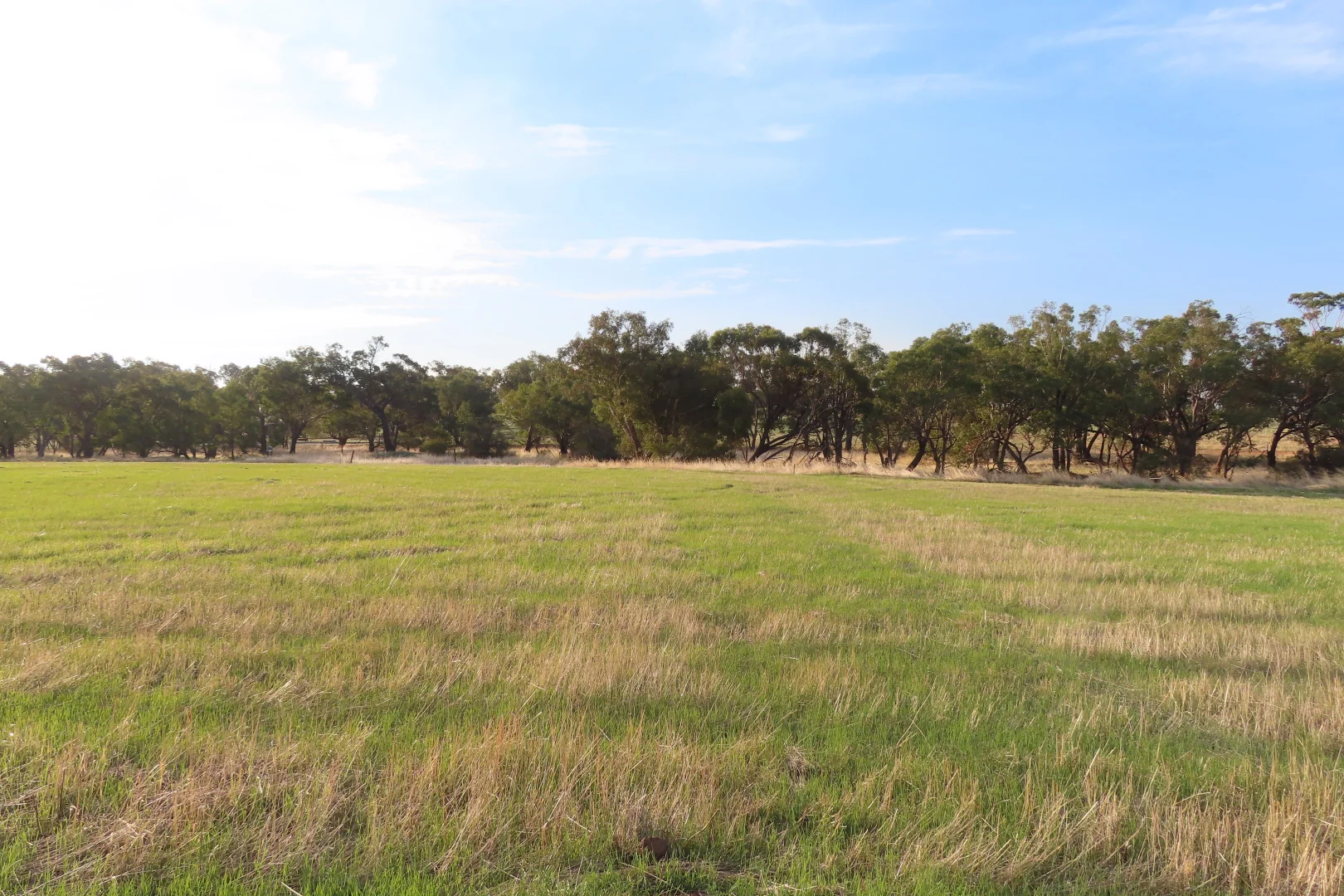 Additional image 3 of Lot 15 Barndon Street, Spencers Brook WA 6401