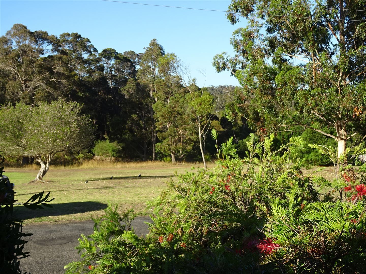 12 Mill No. 2 Road, Northcliffe WA 6262 Domain