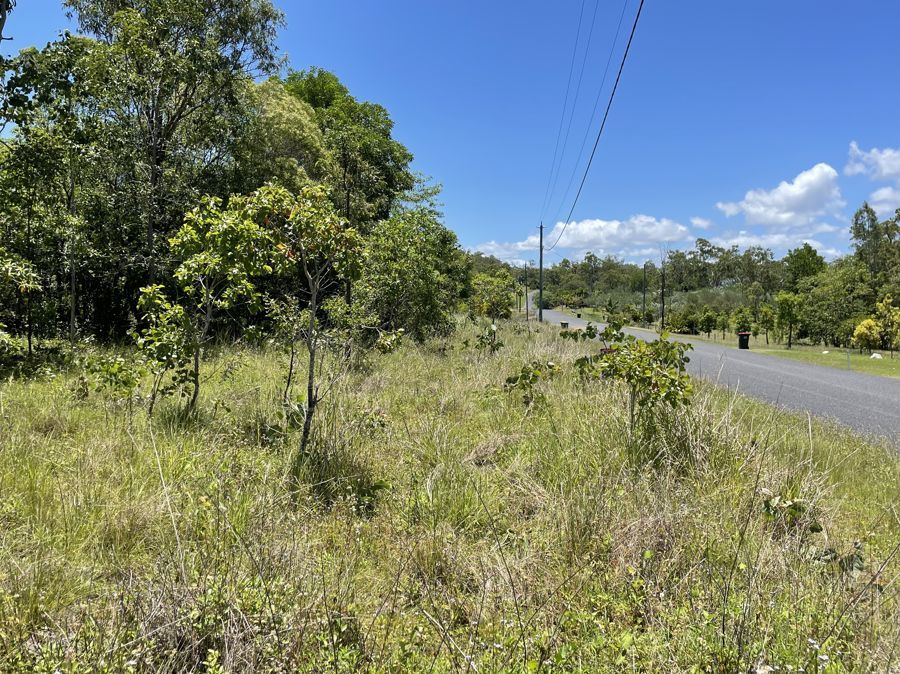 LOT 10 LELONA DRIVE, Bloomsbury QLD 4799, Image 1