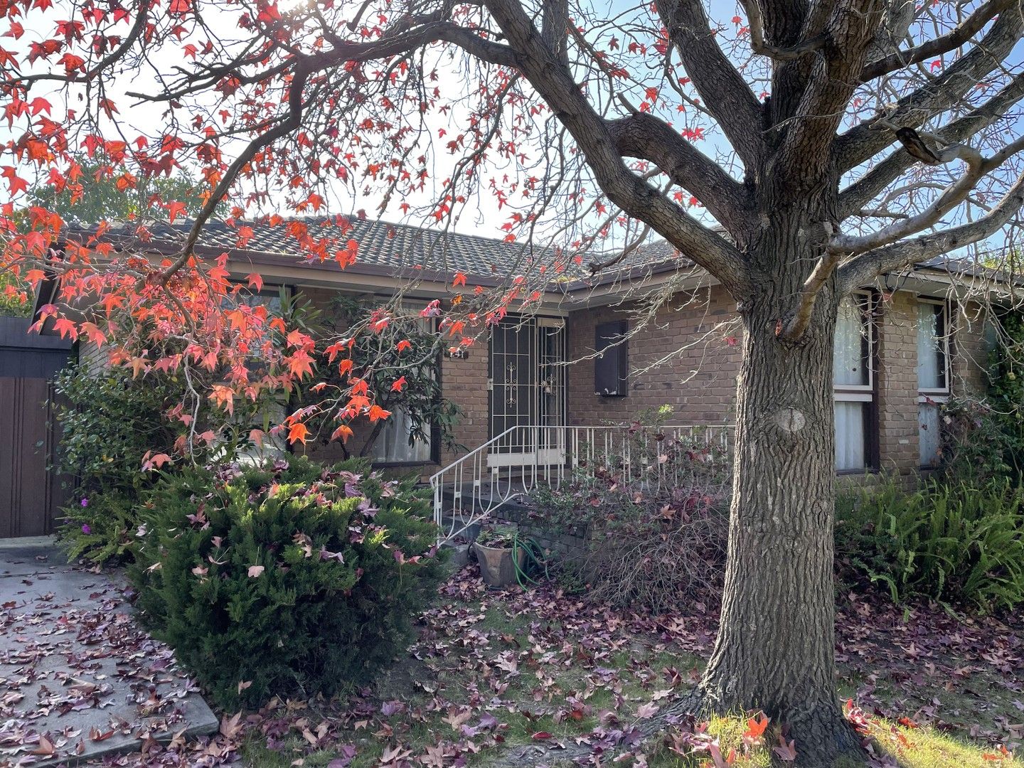 3 bedrooms House in 241 Greenwood Drive BUNDOORA VIC, 3083