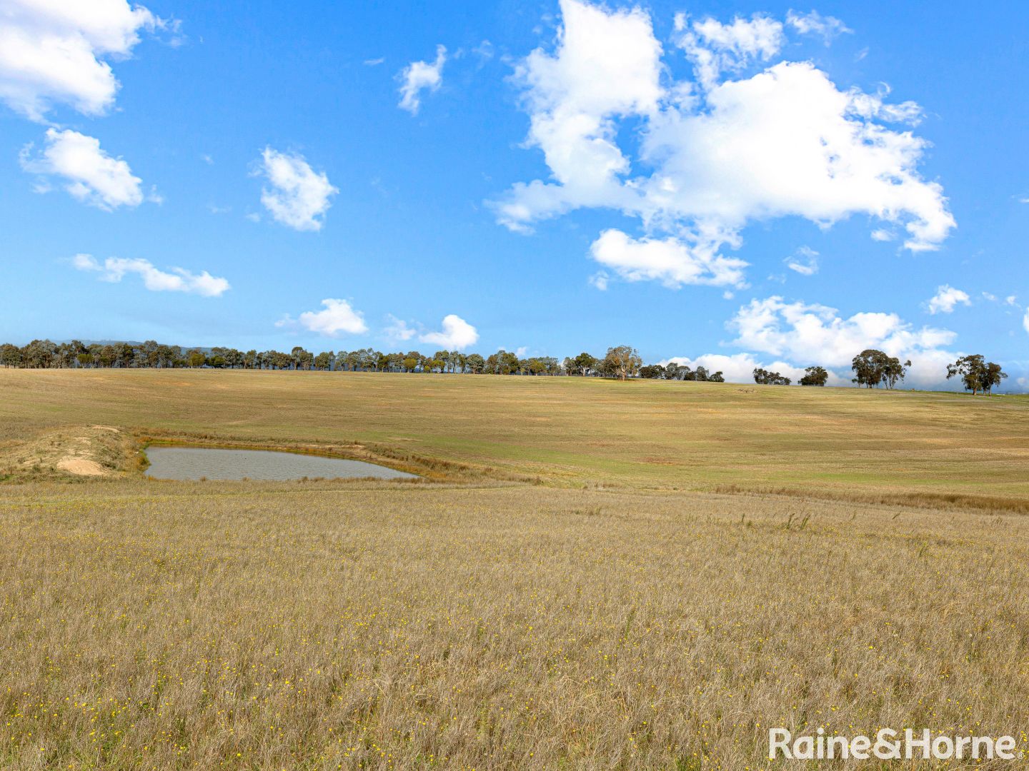 69 Bloom Hill Road, O'Connell NSW 2795, Image 2