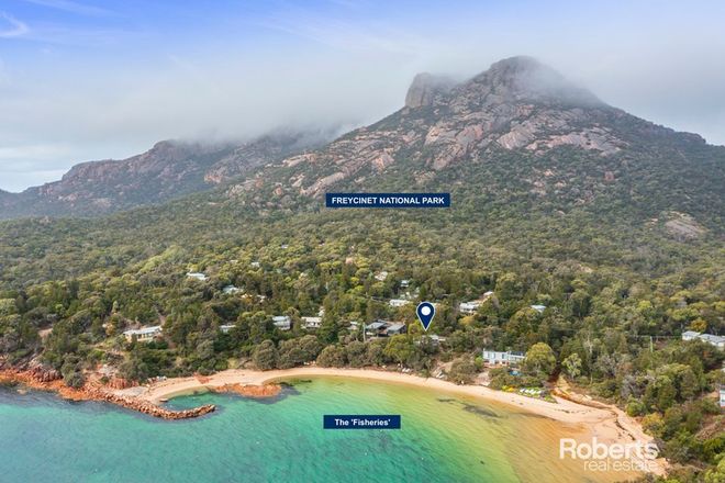 Picture of 428 Freycinet Drive, COLES BAY TAS 7215