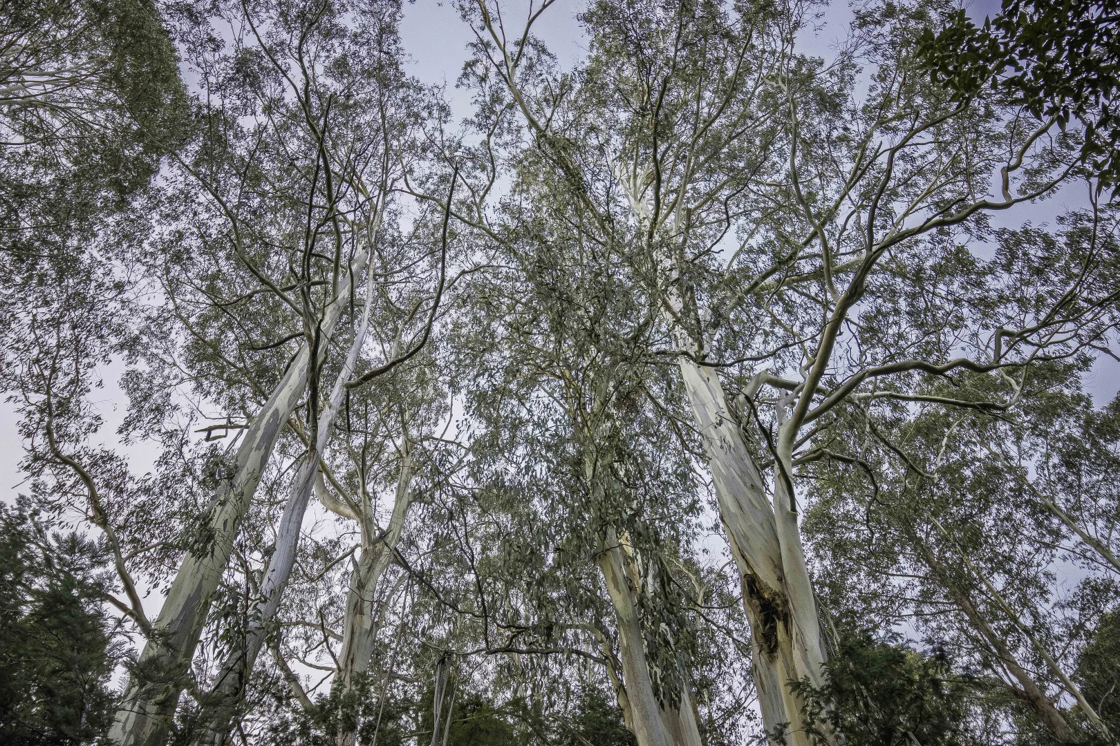 Image 14