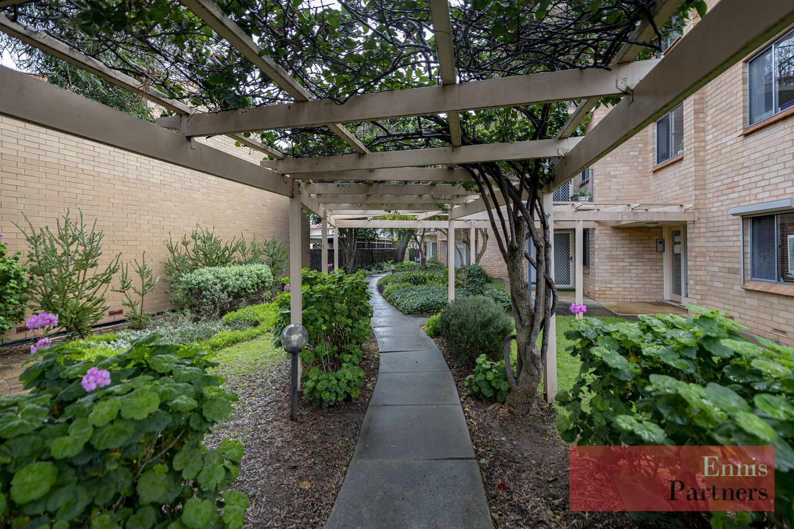 Unit 12, 258 Ward Street, North Adelaide SA 5006, Image 1