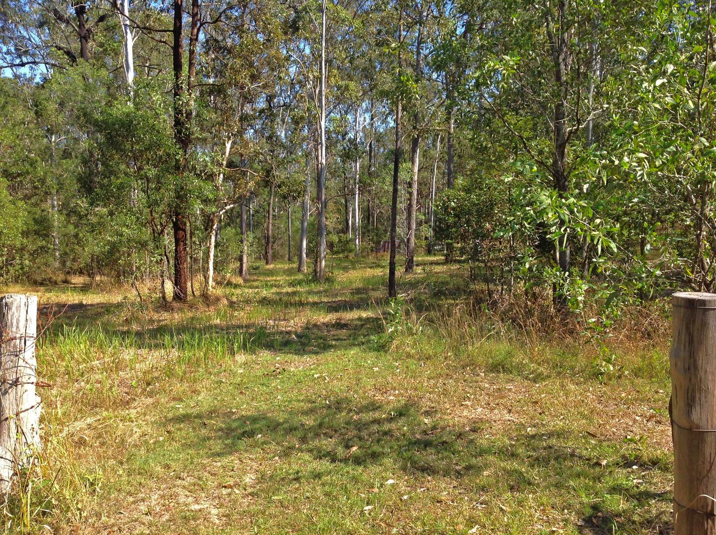 Lot 311 Faine Road, Bauple QLD 4650, Image 1