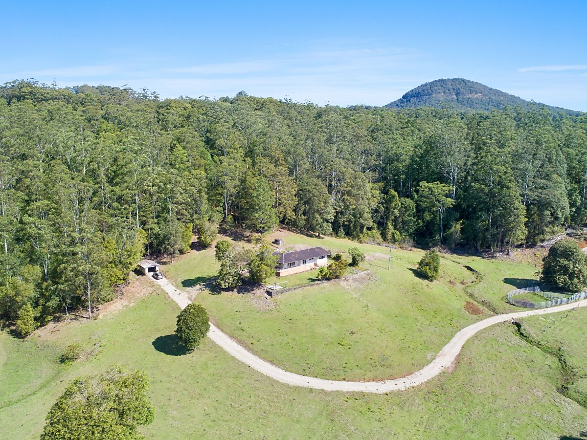 1949 NUMINBAH ROAD, Numinbah NSW 2484, Image 1