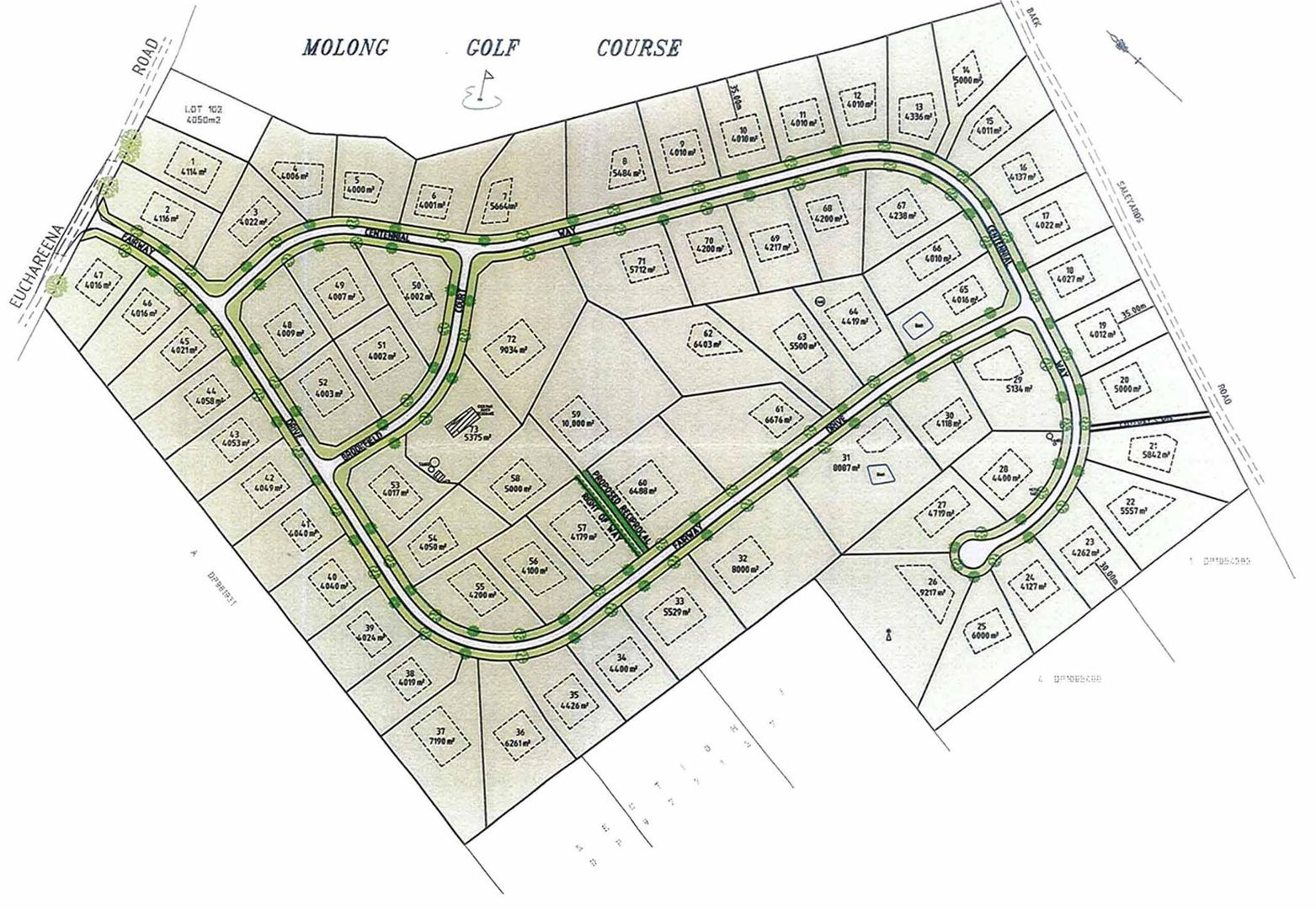 Lot 48 - 184 Euchareena Road, Molong NSW 2866, Image 1