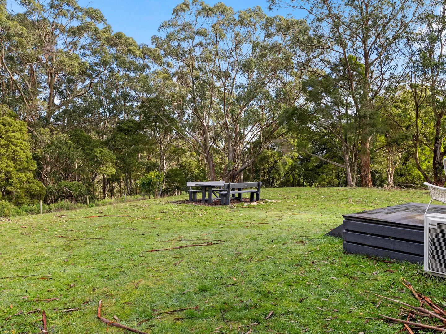 Image 13