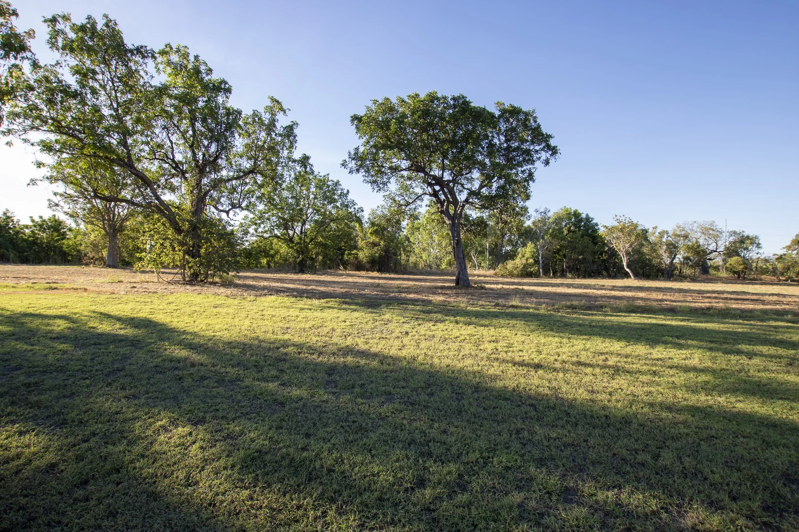 Image 33