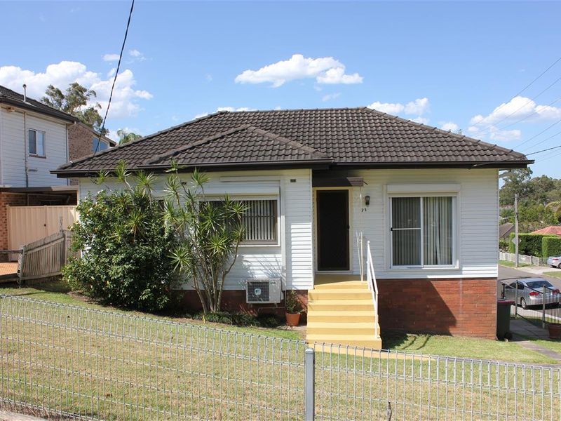 93 Anderson Avenue, Mount Pritchard NSW 2170, Image 0