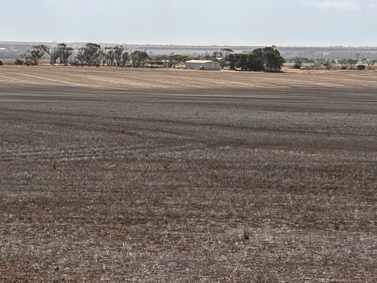 Additional image 5 of S496 James Road, Kulpara SA 5552