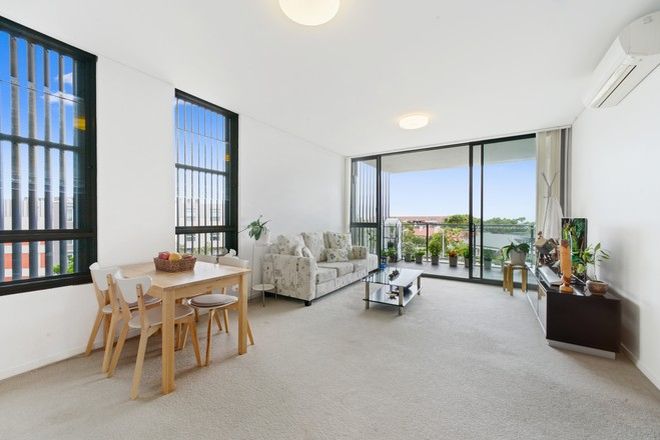 Picture of 307/2-8 Pine Avenue, LITTLE BAY NSW 2036