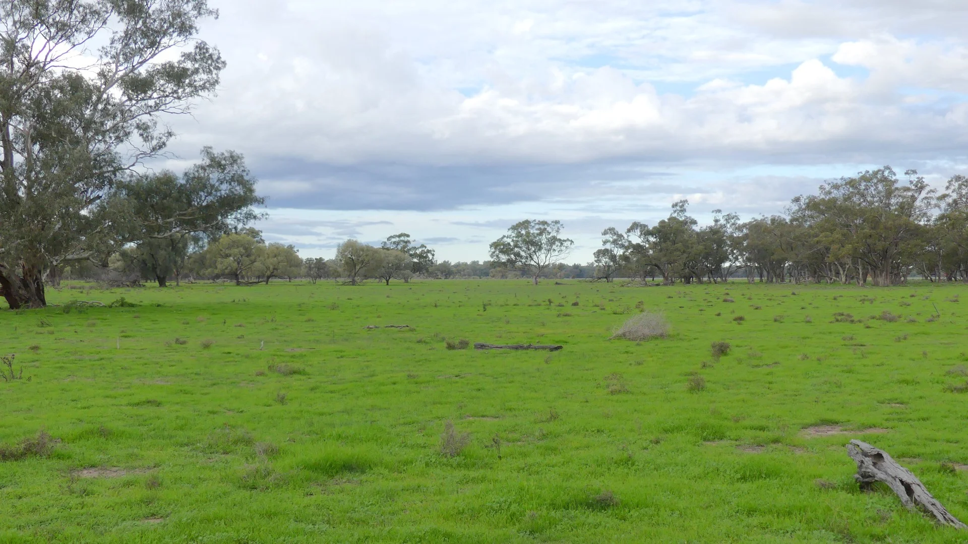 Warren NSW 2824