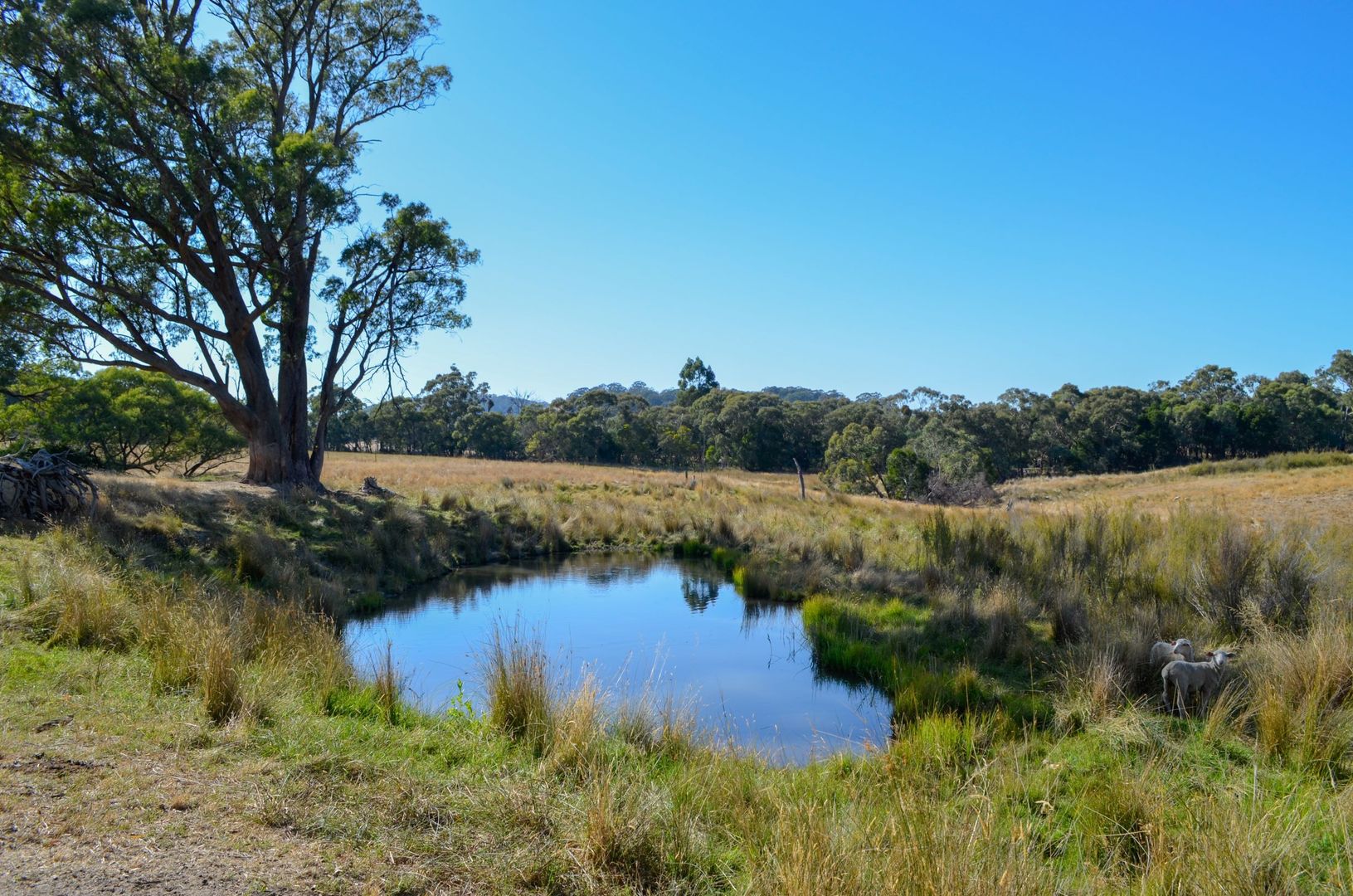 Brookleigh Road, Strathbogie VIC 3666 House for Sale 1,100,000
