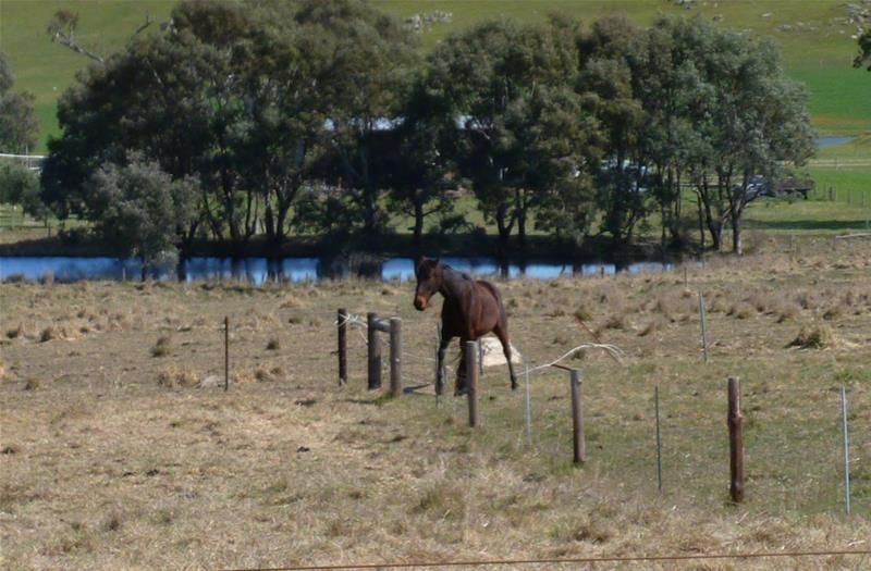 369 Cookes Hill Road, Springton SA 5235, Image 0