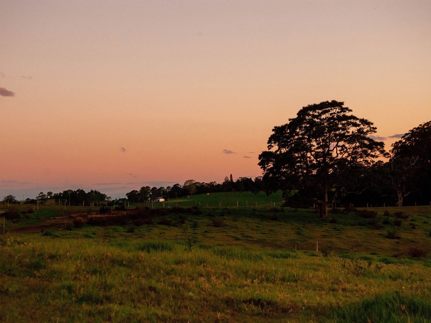 Lot 54, 57 Bunya Street, Maleny QLD 4552, Image 0