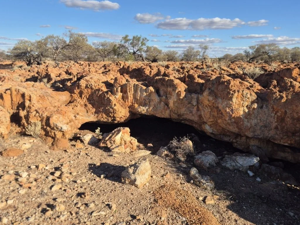 Image 12