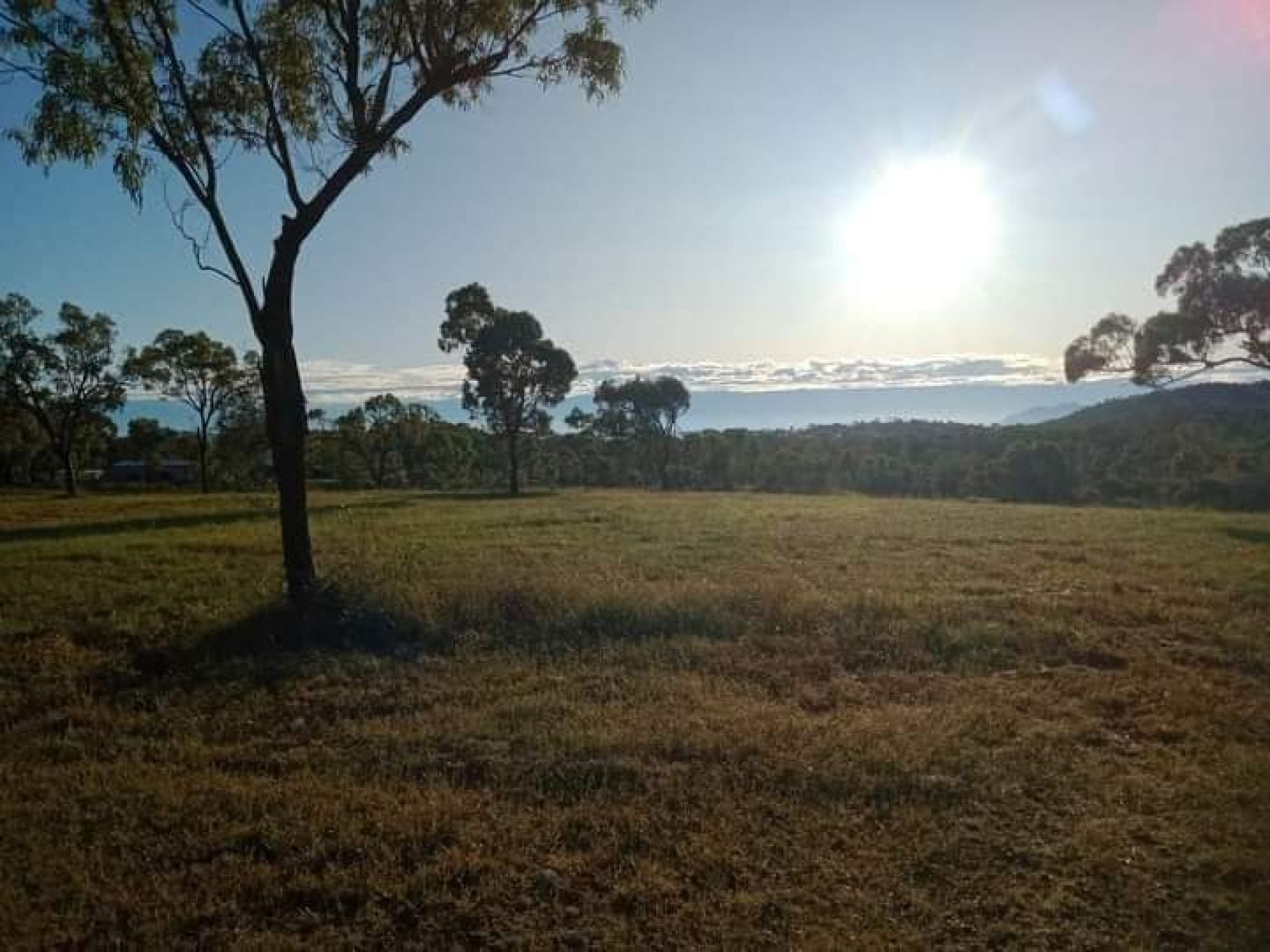 Lot 1 AFRICANDAR Road, Bowen QLD 4805 Domain