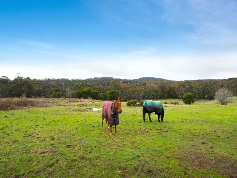 43 Regans Lane, Glenlyon VIC 3461, Image 1