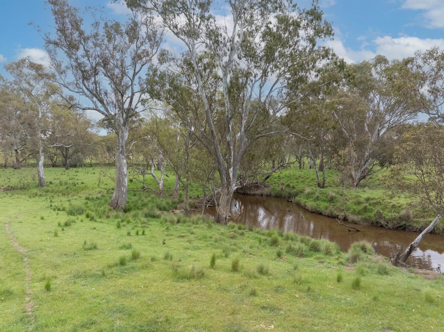 Image 37