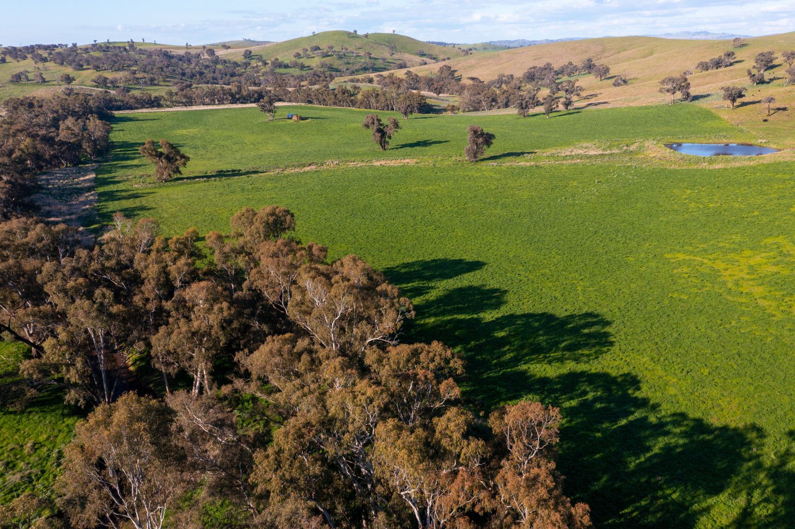 'Prospect' Sheridan Park Road, Boorowa NSW 2586, Image 1