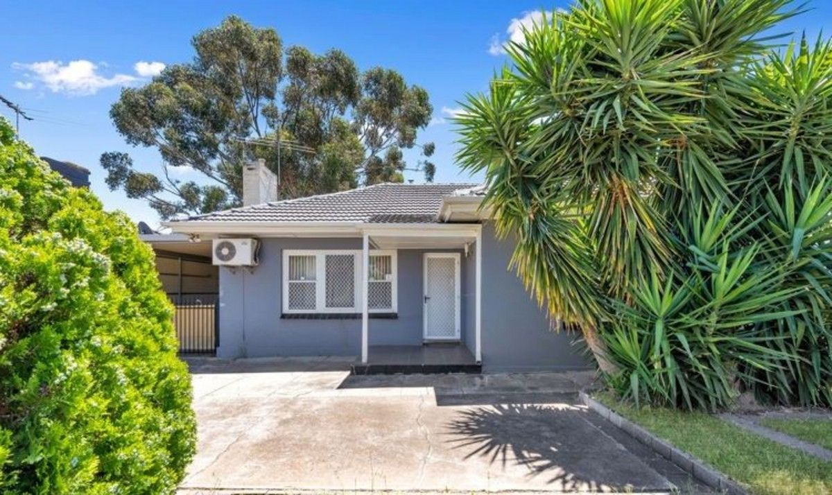 10 Walton Avenue, Clearview SA 5085 House For Rent Domain