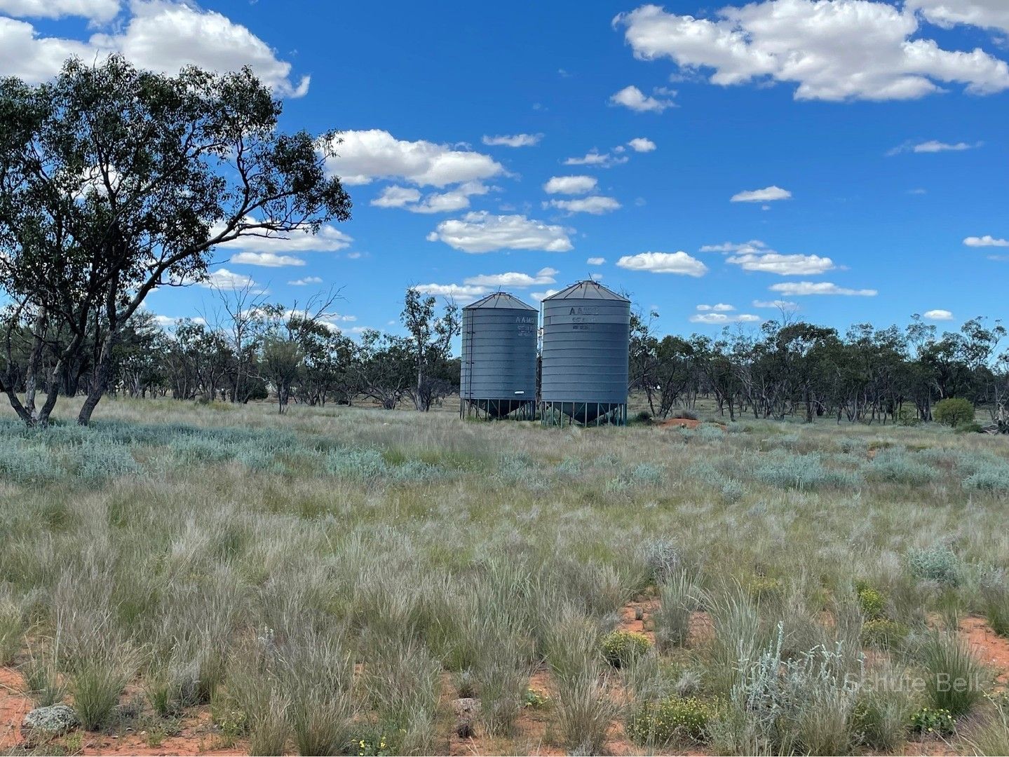 Brewarrina NSW 2839, Image 0