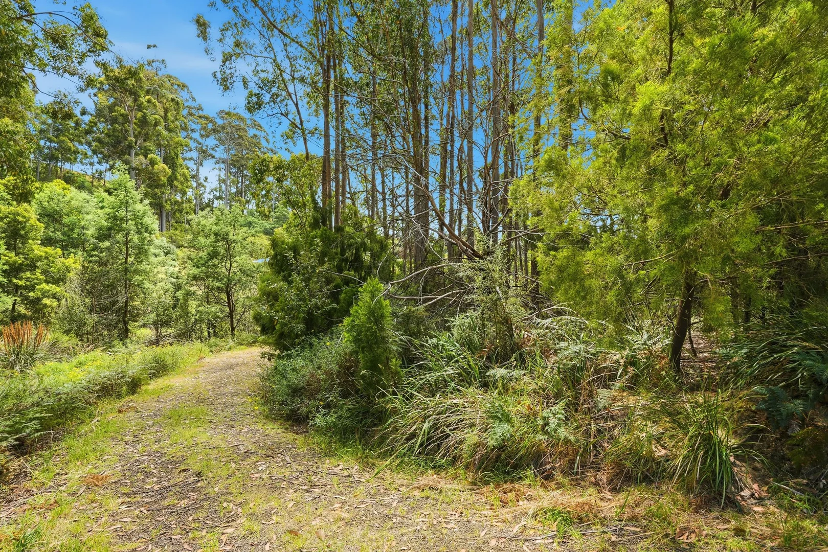 Additional image 11 of Lots 9 & 10 Esperance Coast Road, Dover TAS 7117