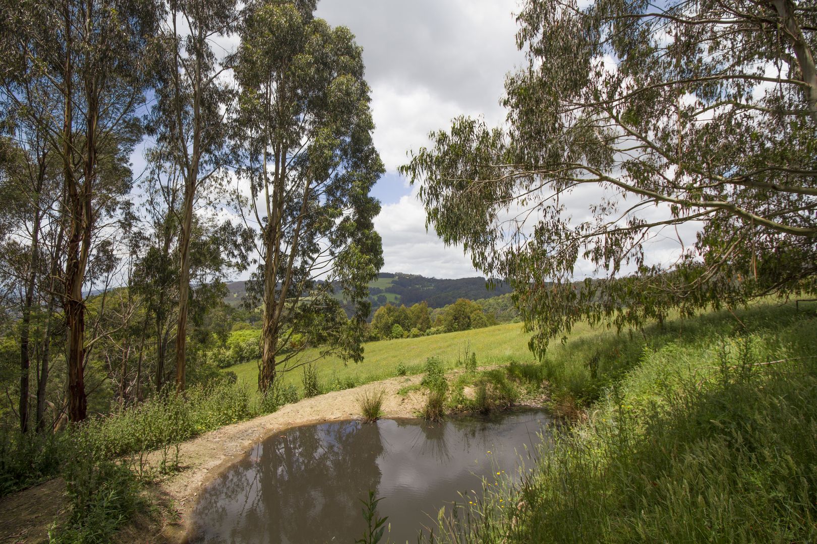 256 Earls Road, Yarragon South VIC 3823, Image 2