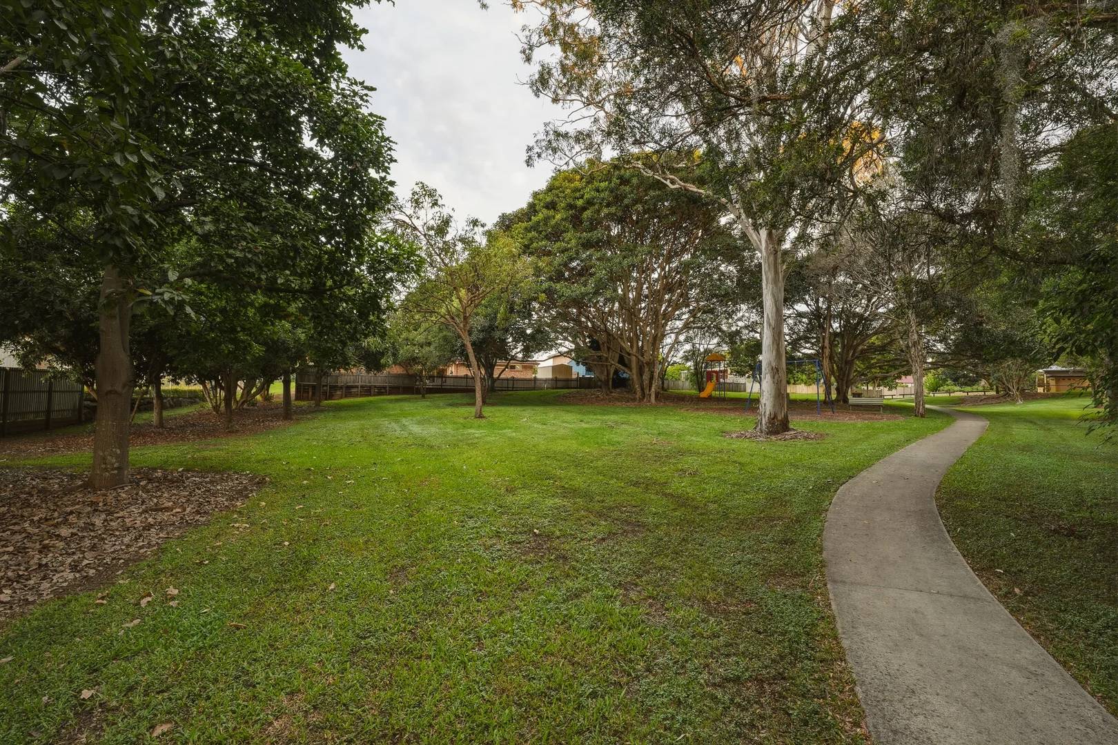 Image 19