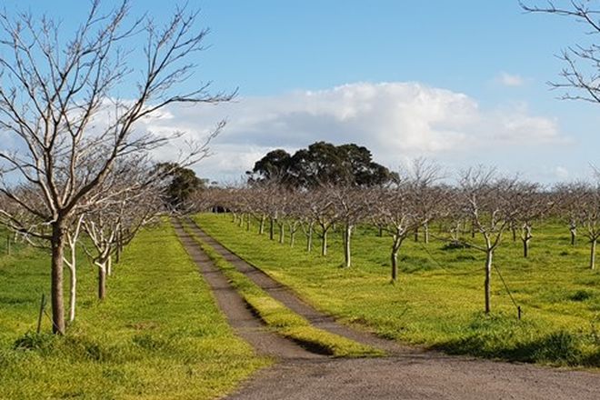 Picture of 825 Nalangil Road, CORUNNUN VIC 3249