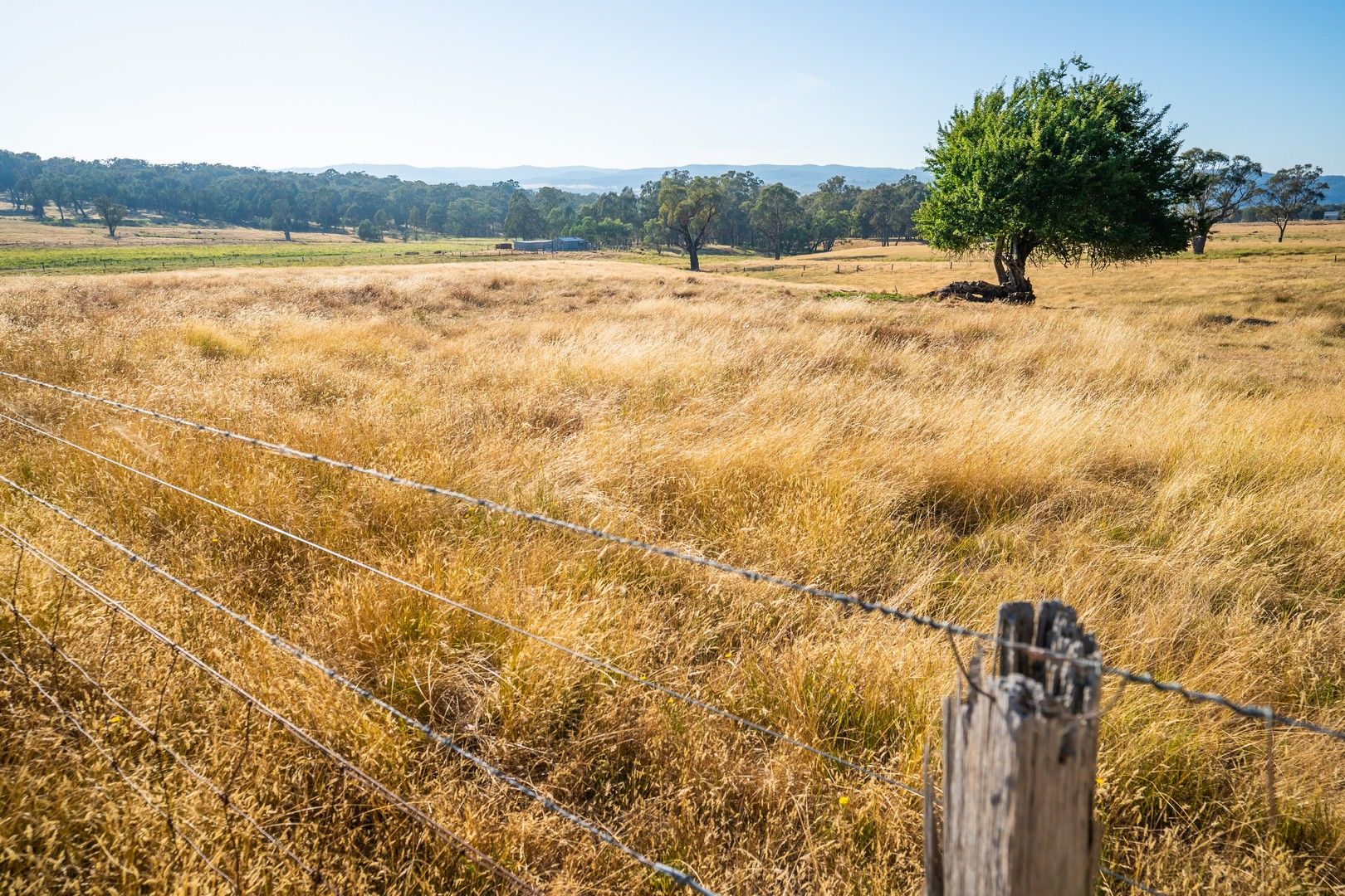 Part 513 Beechworth-Chiltern Road, Beechworth VIC 3747, Image 0