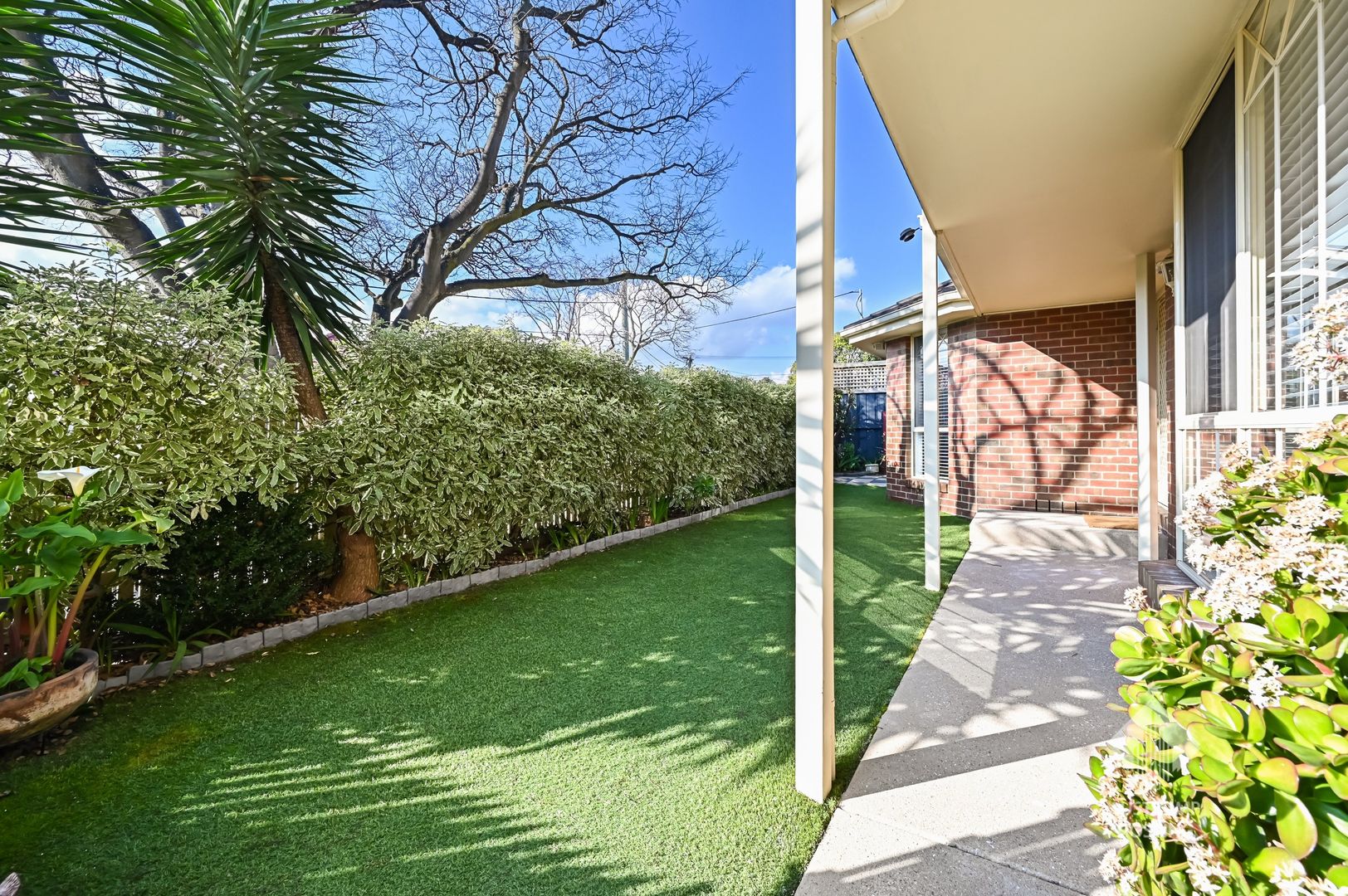 16 Agnes Street, Bentleigh East VIC 3165, Image 1