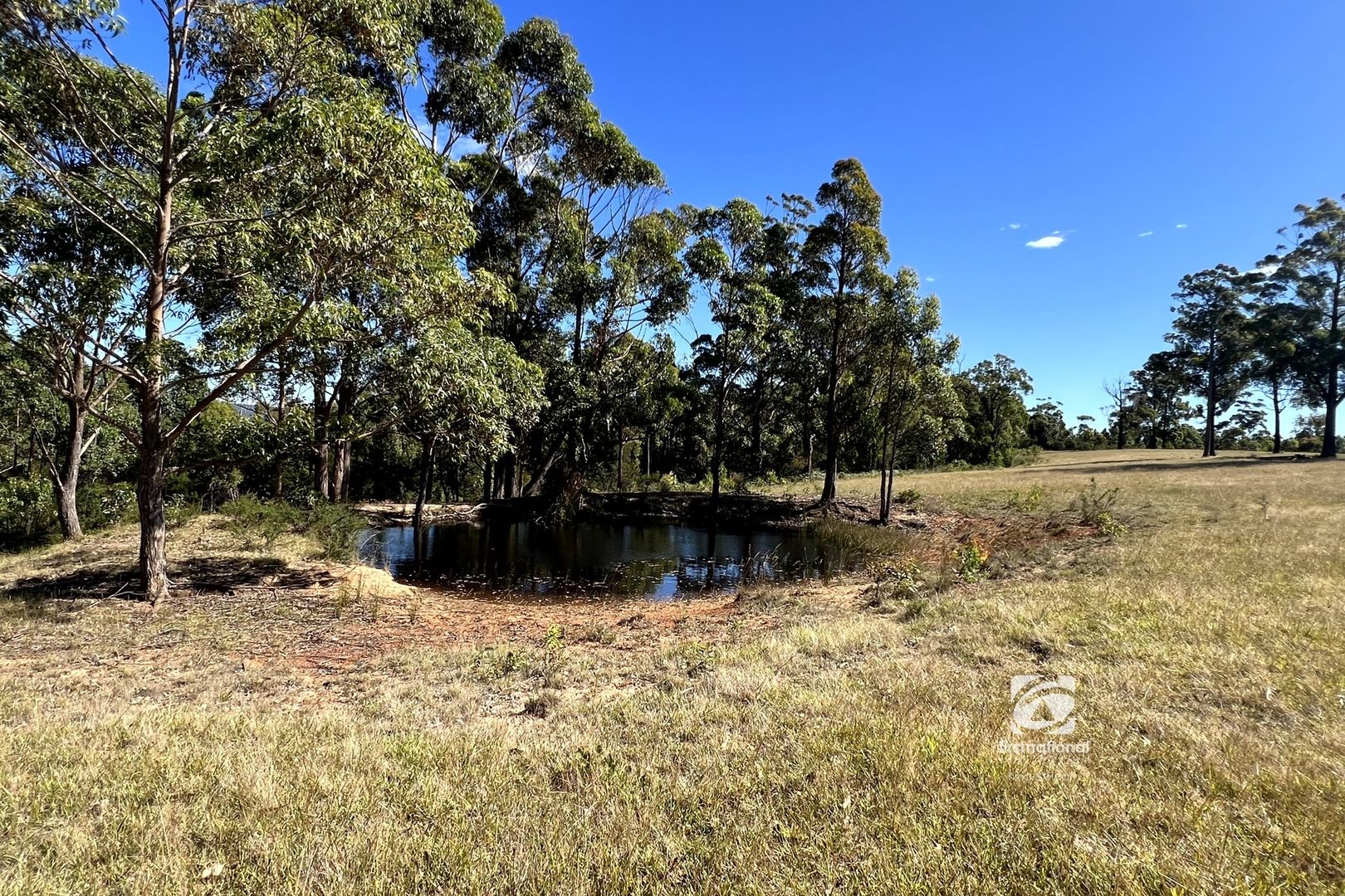 218 Cabbage Tree Conran Road, Cabbage Tree Creek VIC 3889 House for