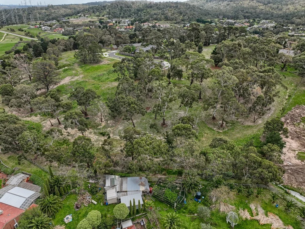 Image 13