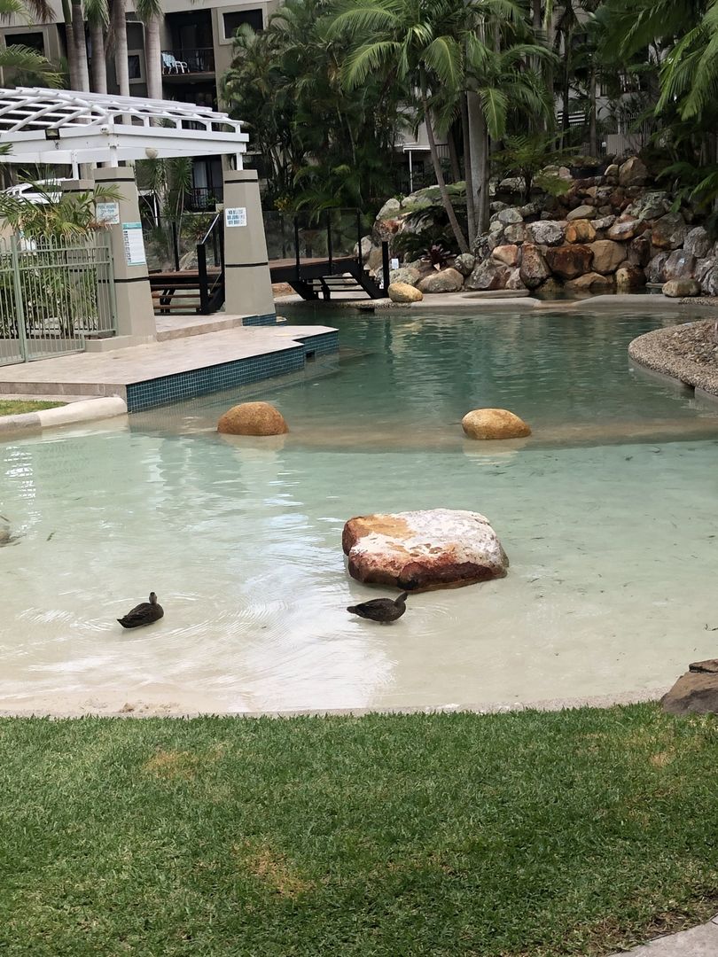 A28 1 Great Hall Drive Miami Qld 4220 Apartment For
