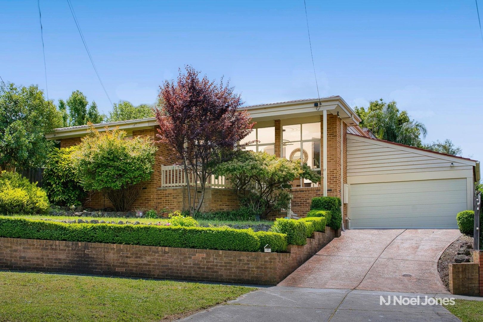17 Arnott Street, Mont Albert North VIC 3129 Domain