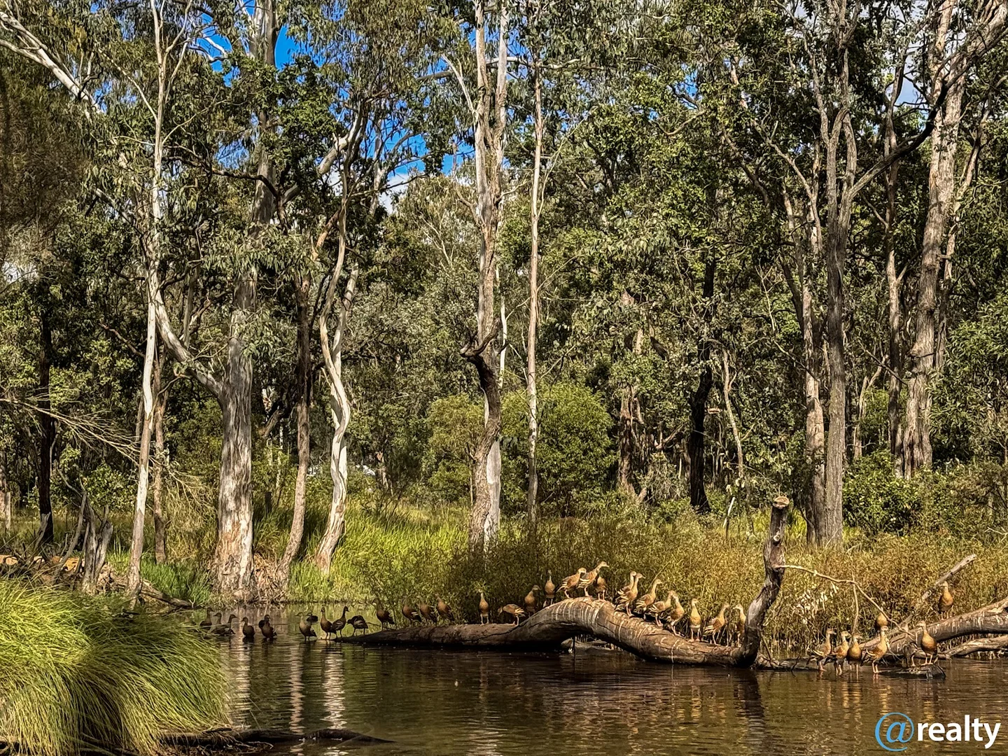 Additional image 28 of 26 G.S. Wilson Drive, Nanango QLD 4615