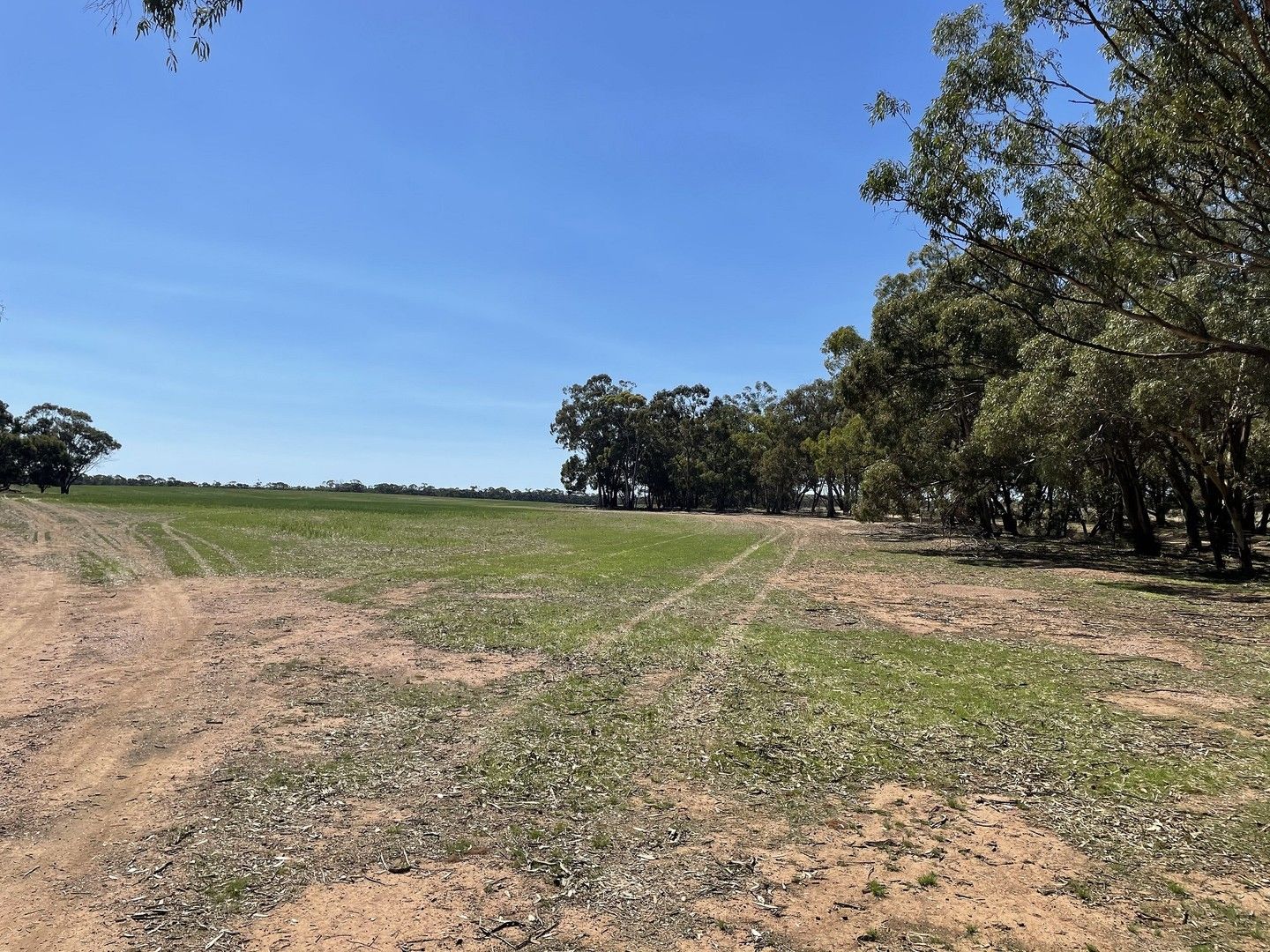 CA 6B/6C, 6D Cnr Nine Mile South & Nine Mile-Wedderburn Road, Nine Mile VIC 3518, Image 0