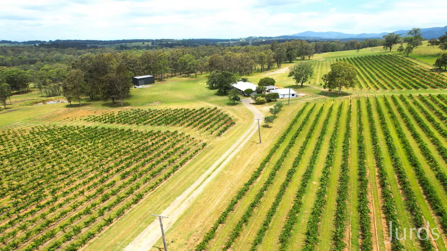 266 Deasys Road, Pokolbin NSW 2320