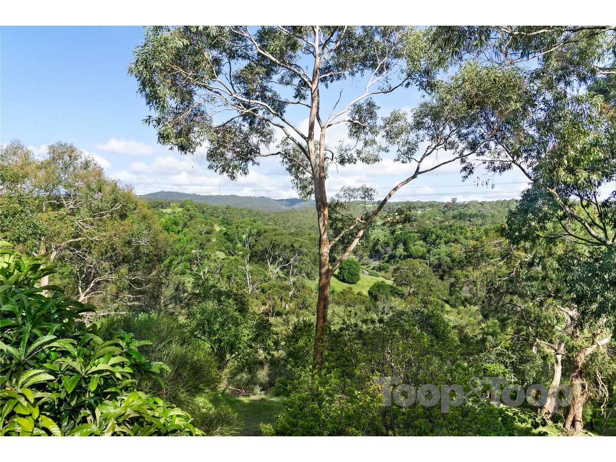 59 Gleneagles Road, Mount Osmond SA 5064, Image 1