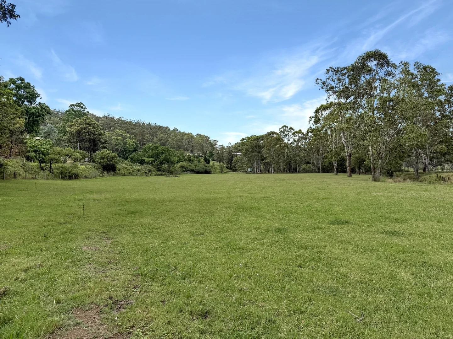 Image 14