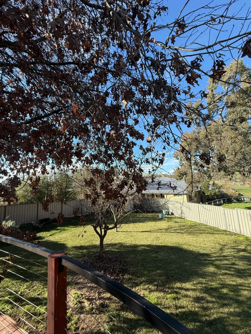 Mansfield VIC 3722 photo 4