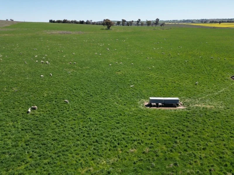 Image 10
