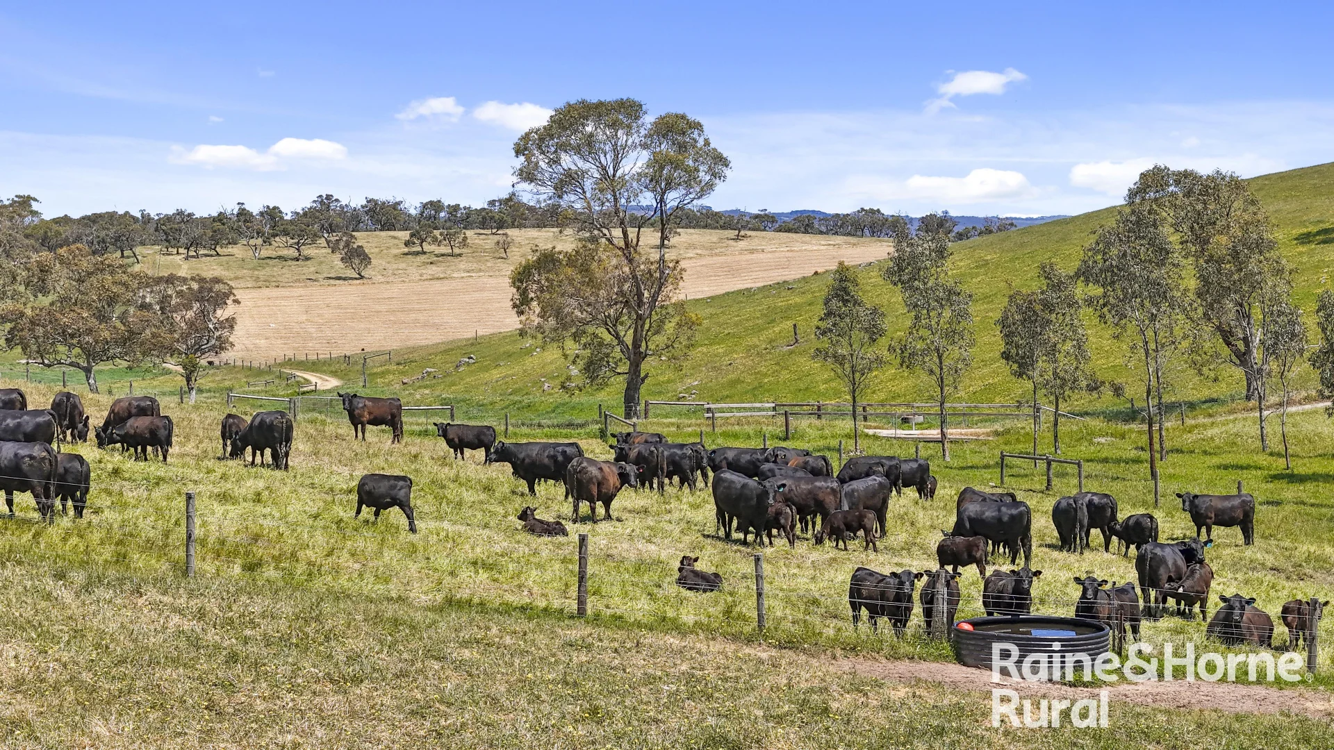 Additional image 2 of 433 James Track, Inman Valley SA 5211