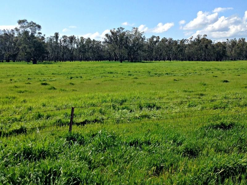 Leeton NSW 2705, Image 2