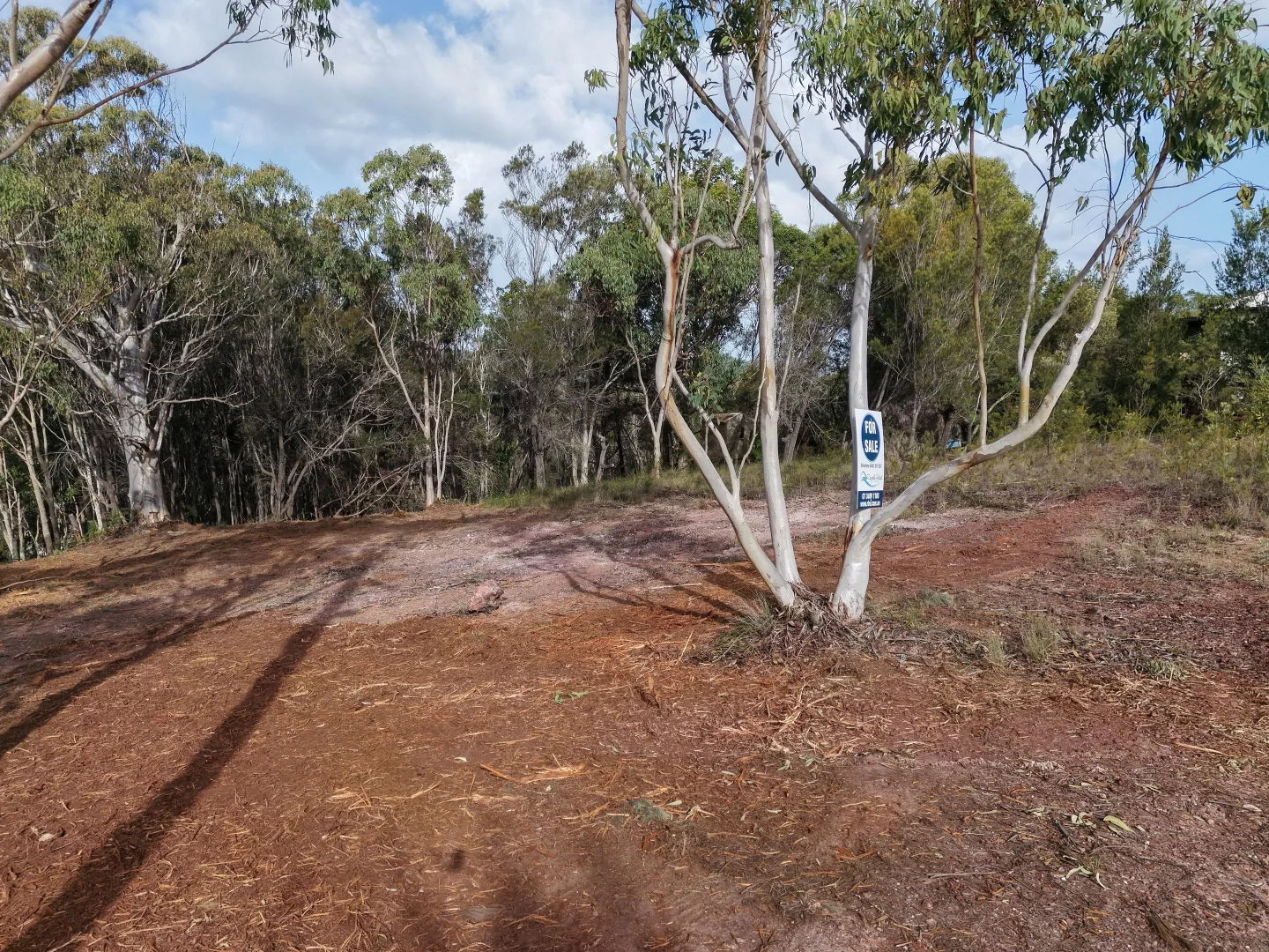 Image 8